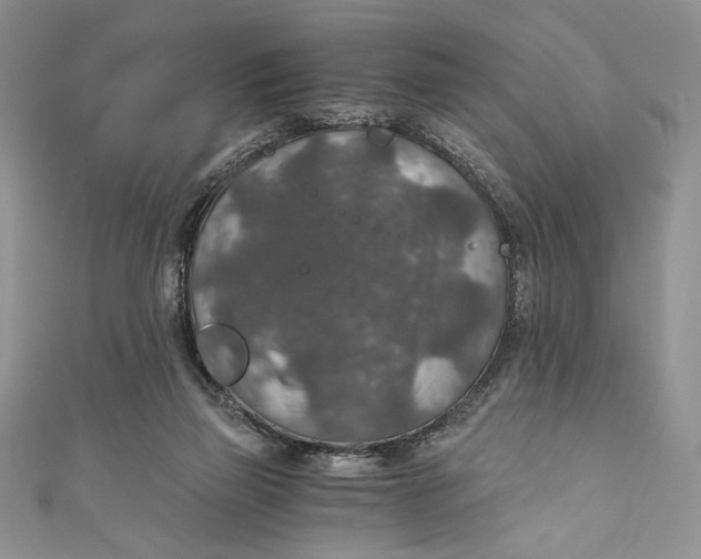 X0000110890165200907091402