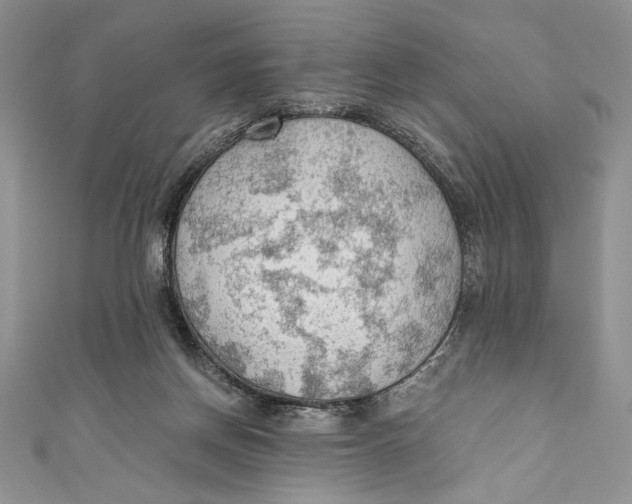 X0000110890166200907091402