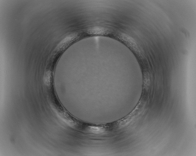 X0000110890167200907091402