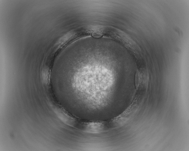 X0000110890168200907091402