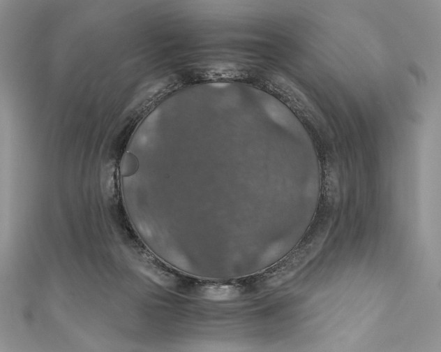 X0000110890169200907091402