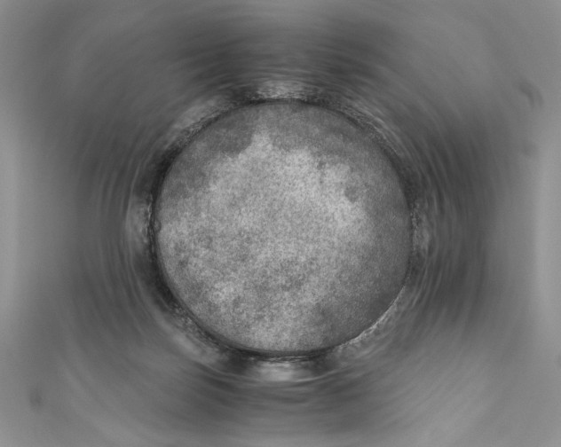 X0000110890171200907091402