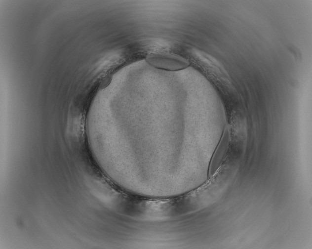 X0000110890172200907091402