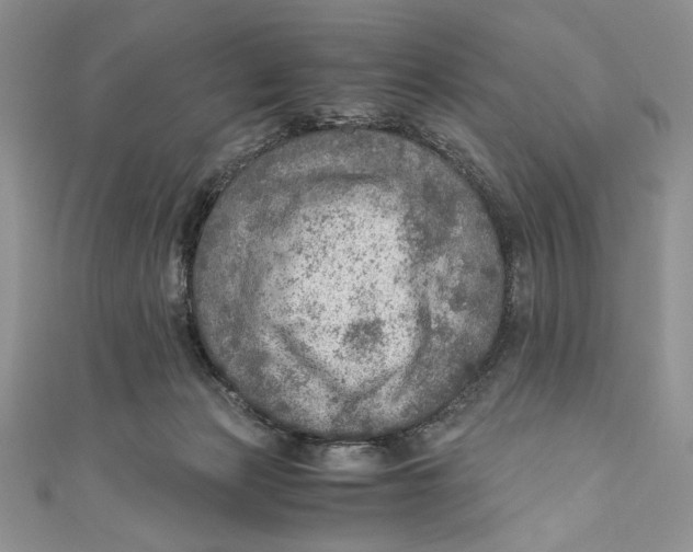 X0000110890173200907091402