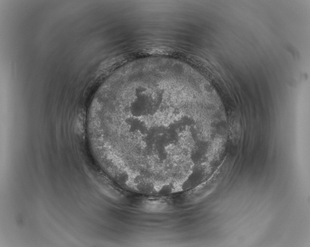 X0000110890175200907091402