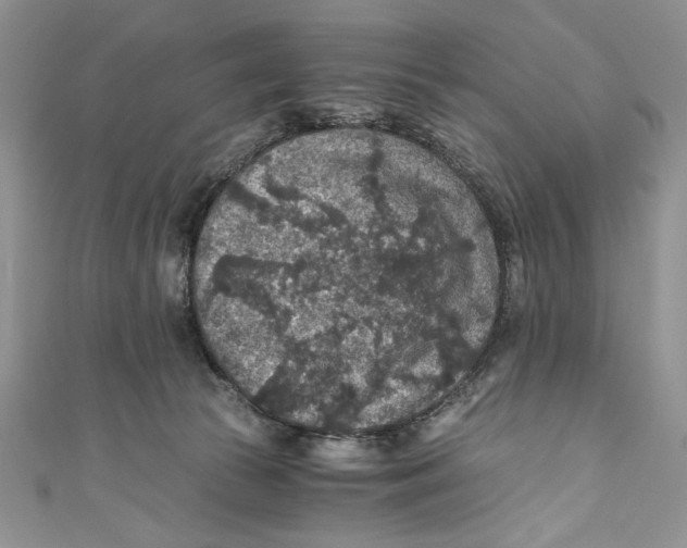 X0000110890177200907091402