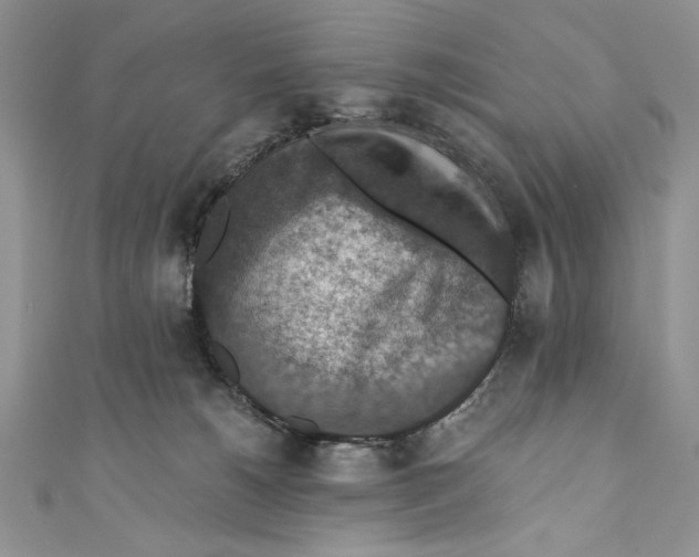 X0000110890180200907091402