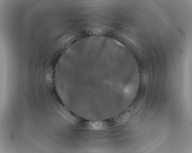 X0000110890181200907091402