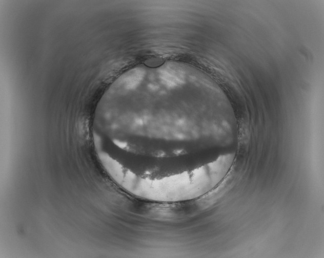 X0000110890182200907091402