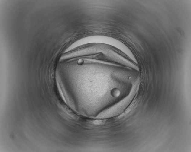 X0000110890184200907091402