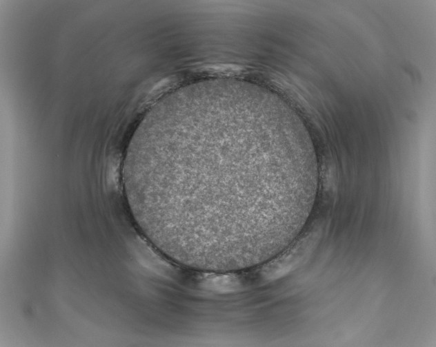 X0000110890185200907091402