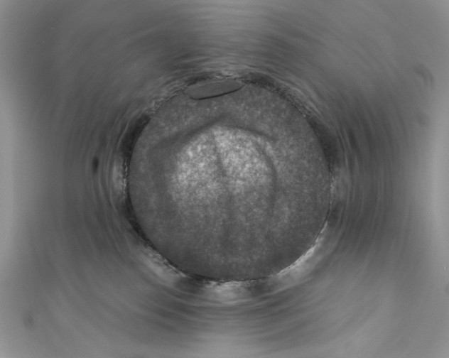 X0000110890186200907091402