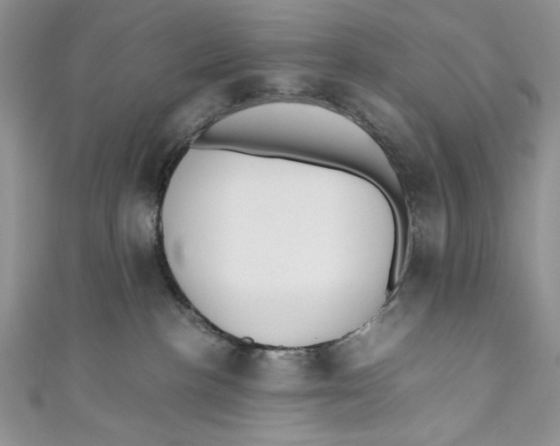 X0000110890188200907091402