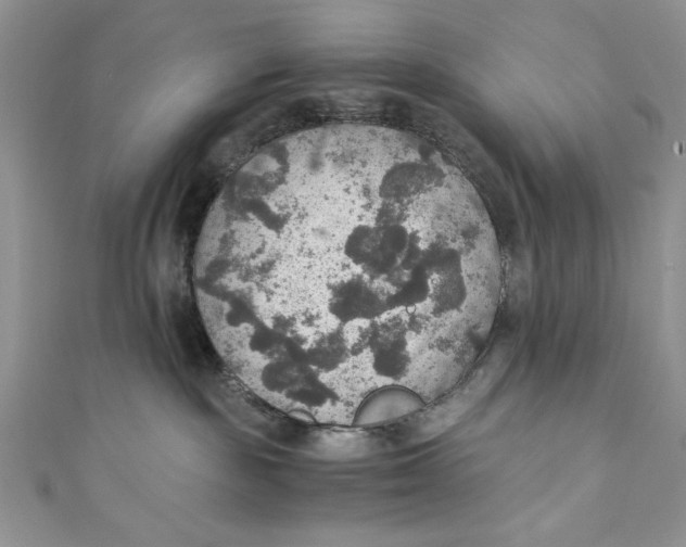 X0000110890189200907091402