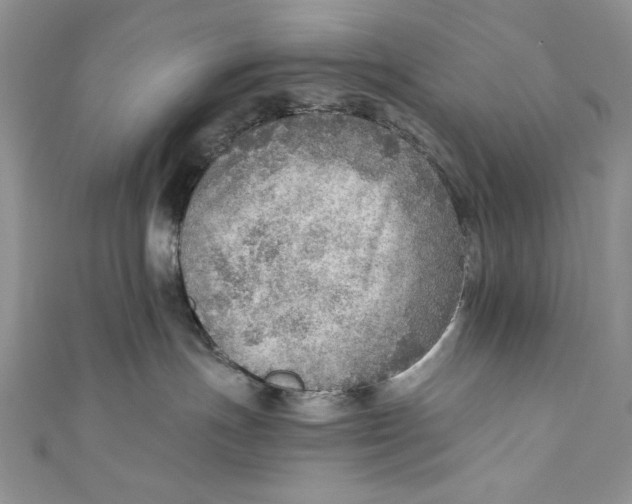 X0000110890191200907091402