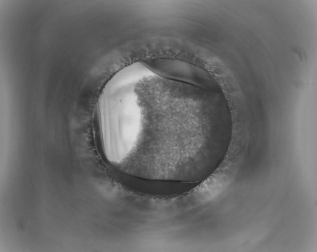 X0000110890192200907091402