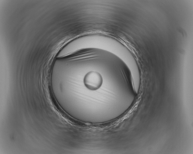 X0000110890193200907091401