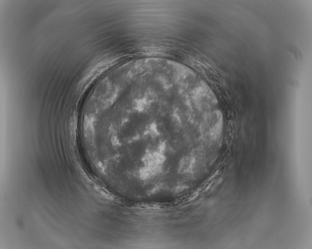 X0000110890194200907091401