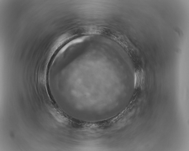 X0000110890195200907091401