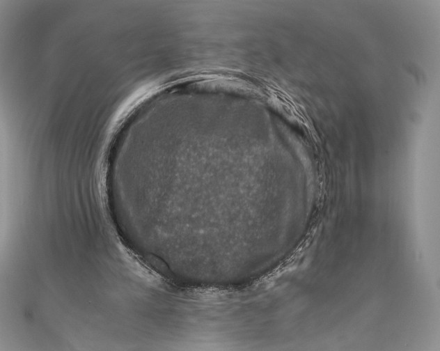 X0000110890197200907091401