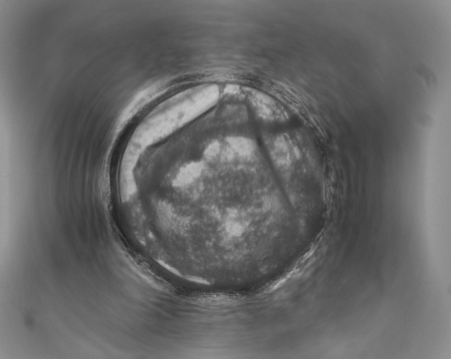 X0000110890198200907091401