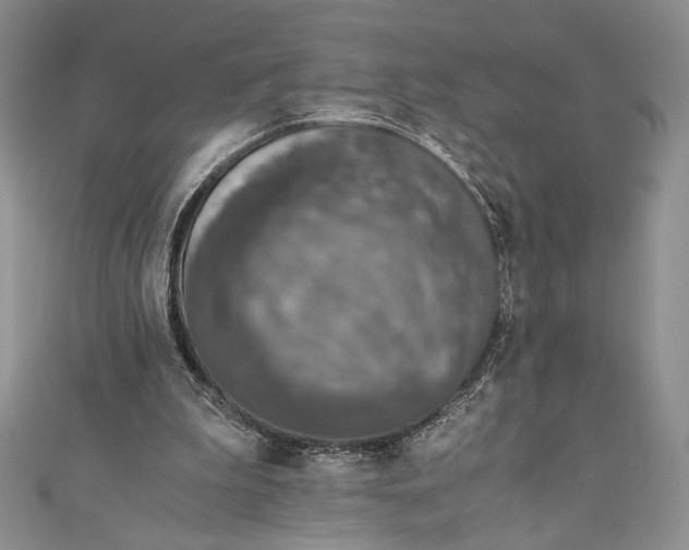 X0000110890199200907091401