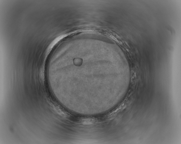 X0000110890200200907091401