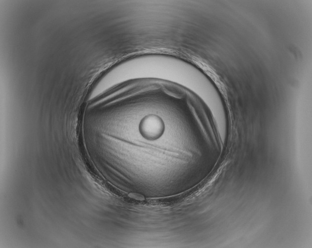 X0000110890201200907091401