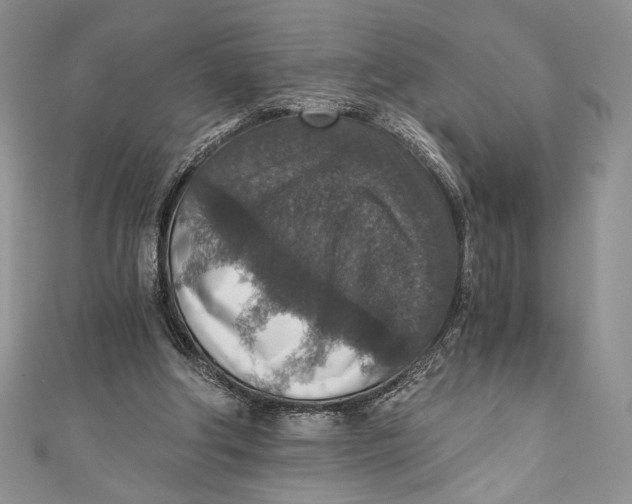 X0000110890202200907091401