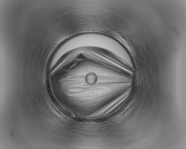 X0000110890203200907091401