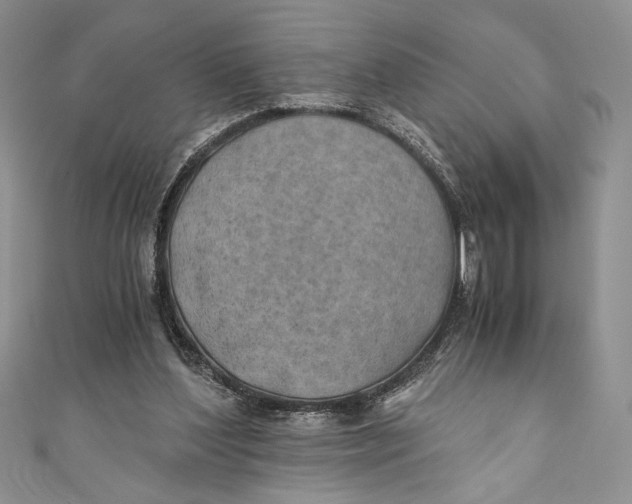 X0000110890204200907091401