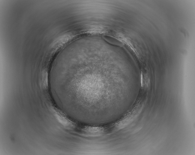 X0000110890205200907091401