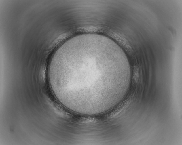 X0000110890206200907091401