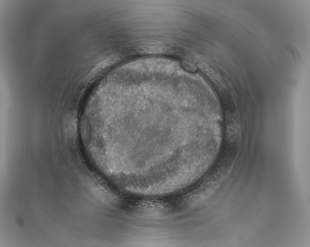 X0000110890207200907091401