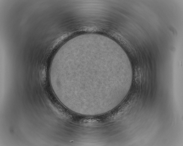 X0000110890208200907091401