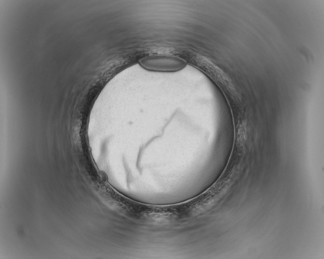 X0000110890209200907091401