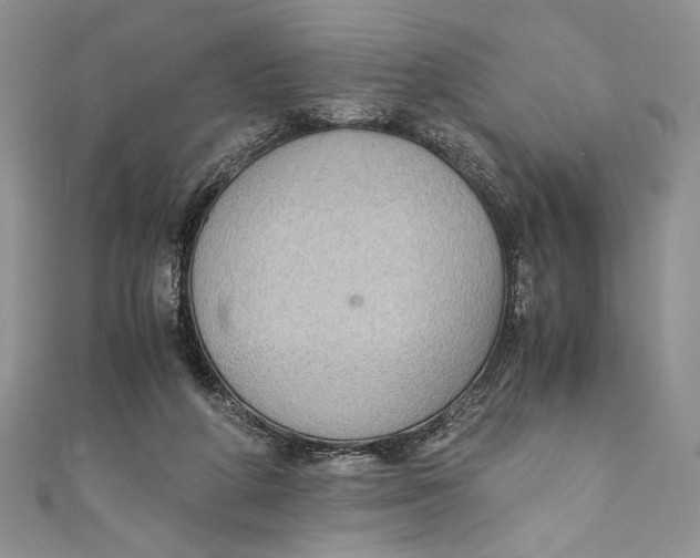 X0000110890210200907091401