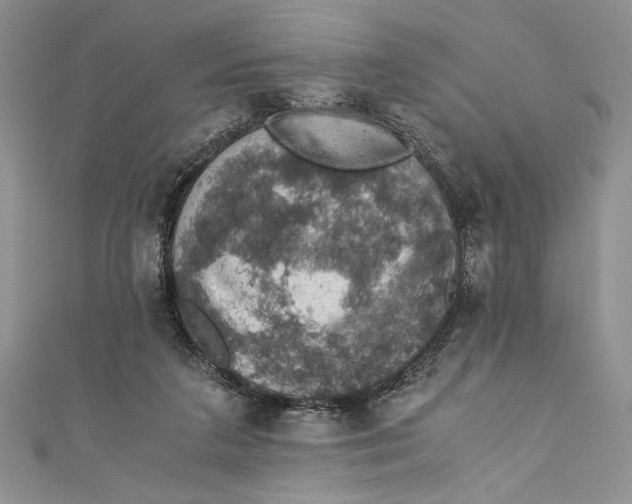 X0000110890211200907091401