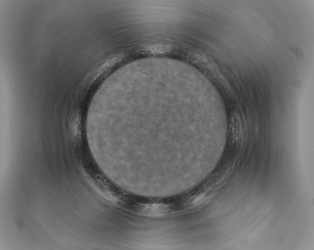 X0000110890212200907091401