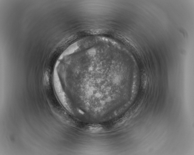 X0000110890214200907091401