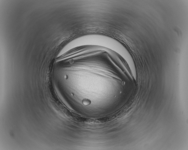 X0000110890215200907091401