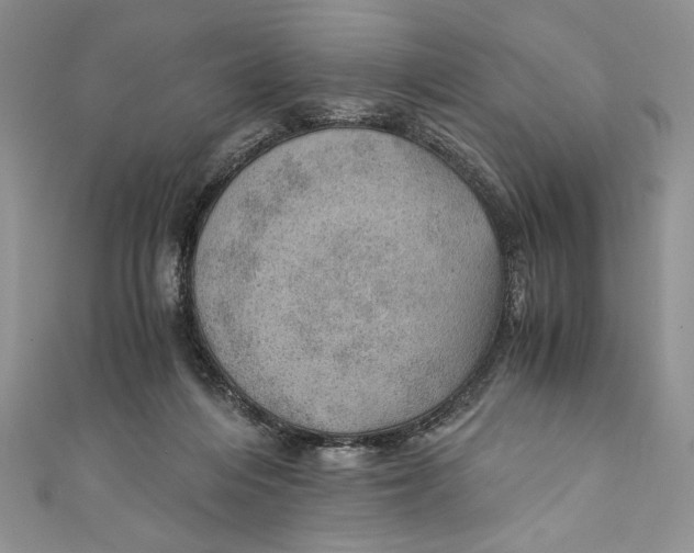 X0000110890216200907091401