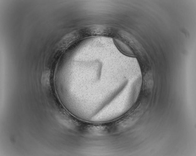 X0000110890217200907091401