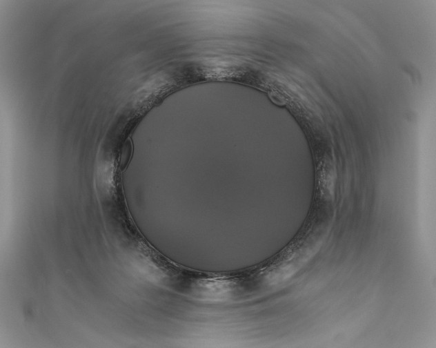 X0000110890219200907091401