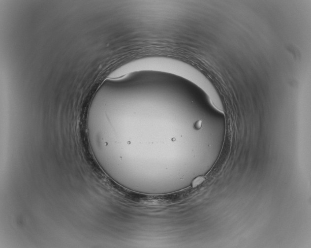 X0000110890221200907091401