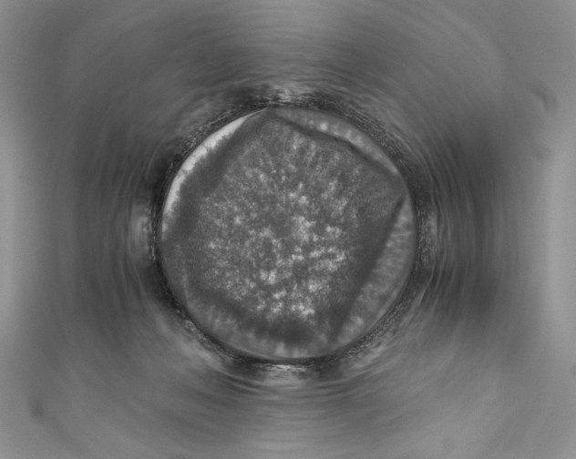 X0000110890222200907091401