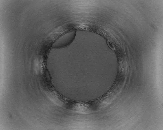 X0000110890223200907091401