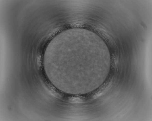 X0000110890224200907091401