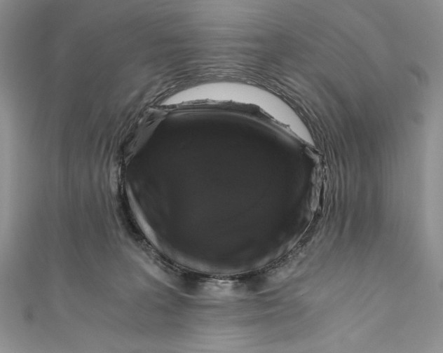 X0000110890227200907091401