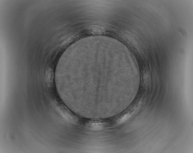 X0000110890228200907091401